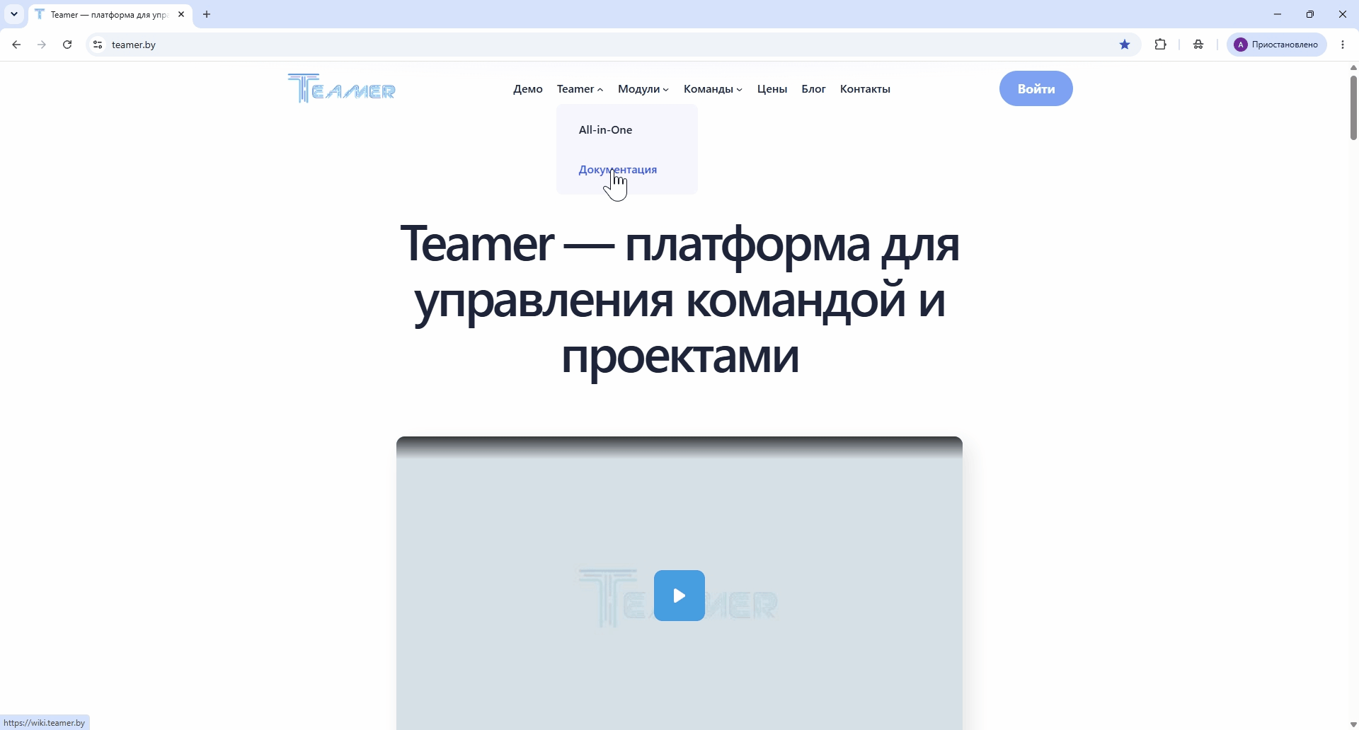 Поддержка Teamer
